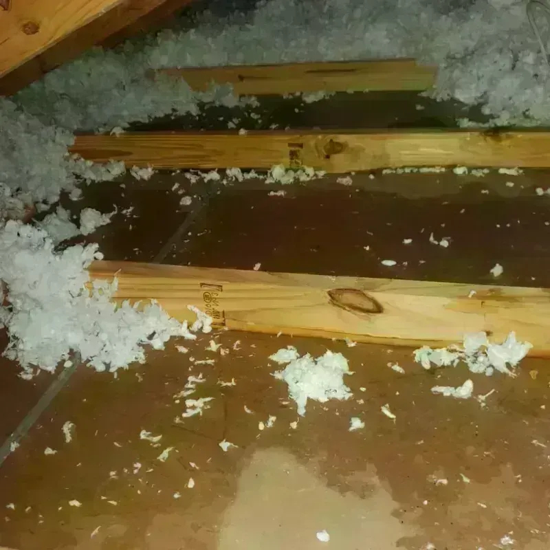 Attic Water Damage in Easton, CT