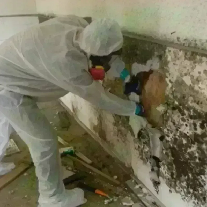 Mold Remediation and Removal in Easton, CT